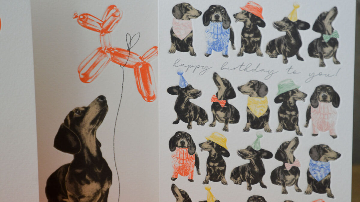 Sausage Dog Birthday Card Set - Image 5
