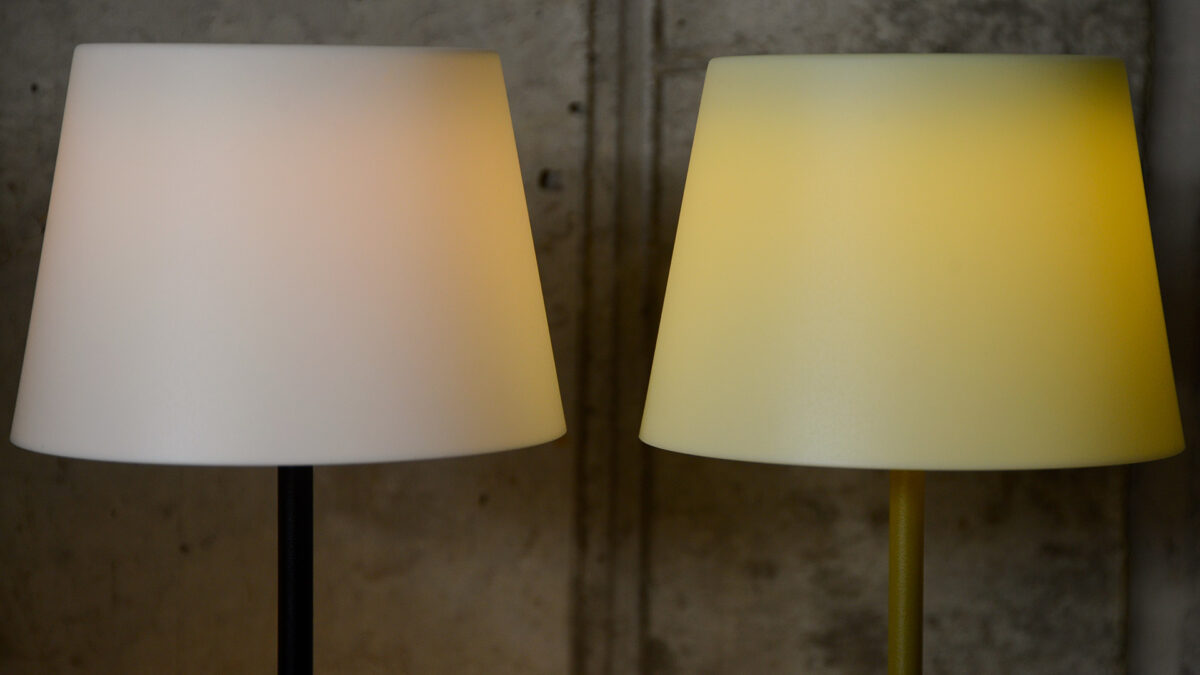 shade close up green or black portable lamp