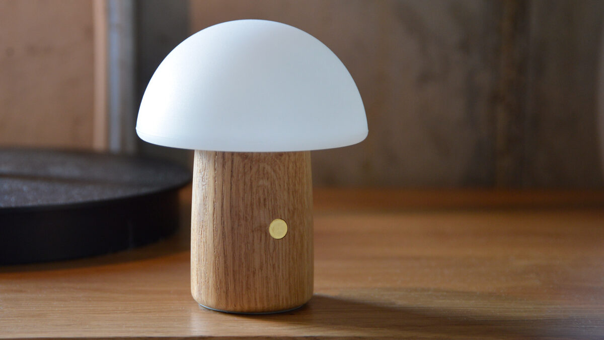 small mushroom lamp with ABS shade off