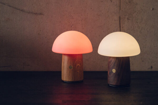 mini LED mushroom lights with colour change or white light and wooden bases