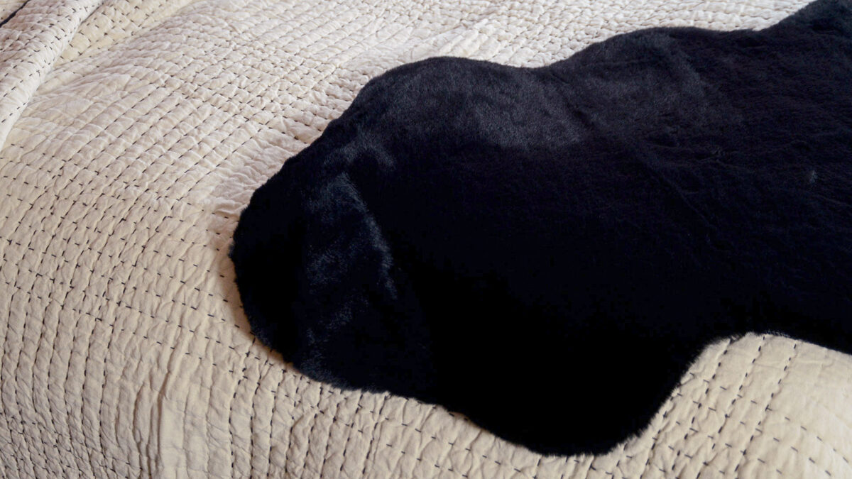 soft plush faux sheepskin rug black