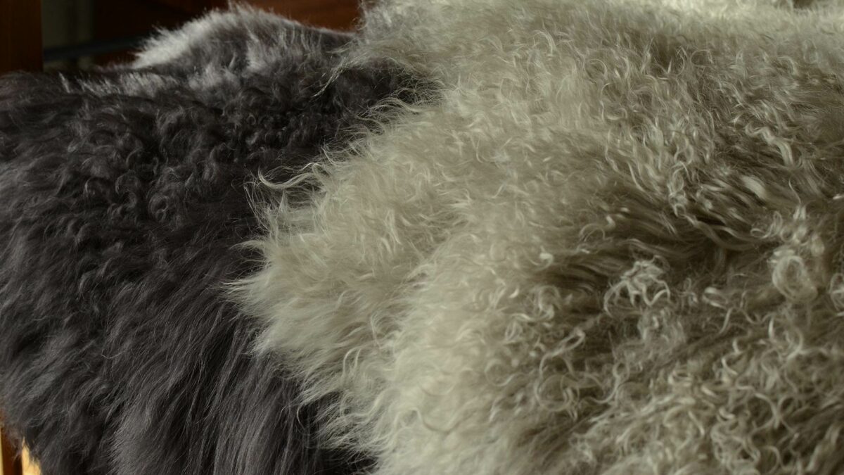 tibetan-sheepskin throw