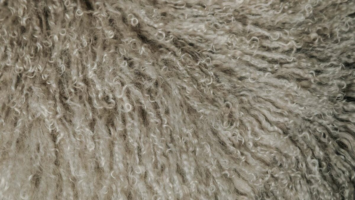 Tibetan sheepskin throw