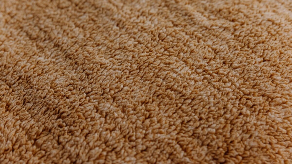 toasty fleece throw