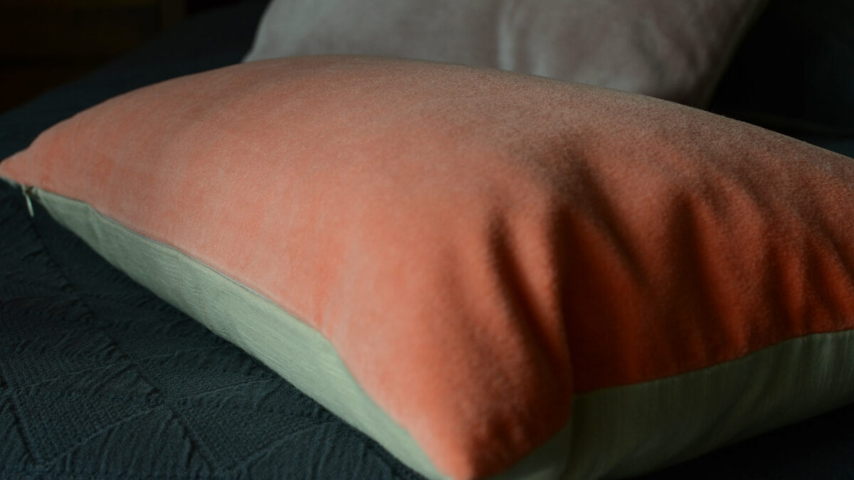 Velvet Cushion - Salmon