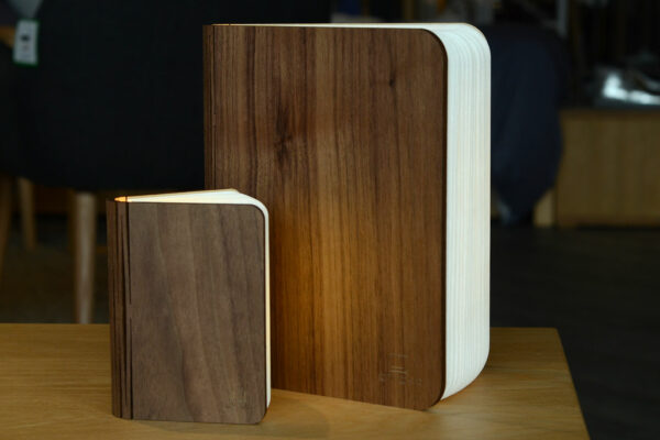 walnut-extra-large-book-light-with-small-book-light