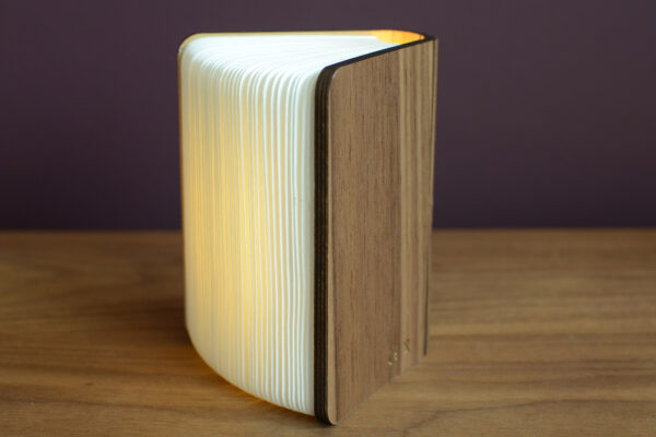 warm-book-light-in-walnut