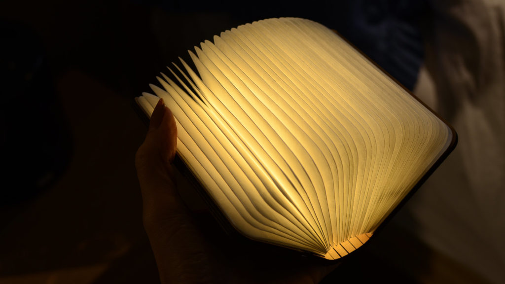 warm-book-light-in-walnut