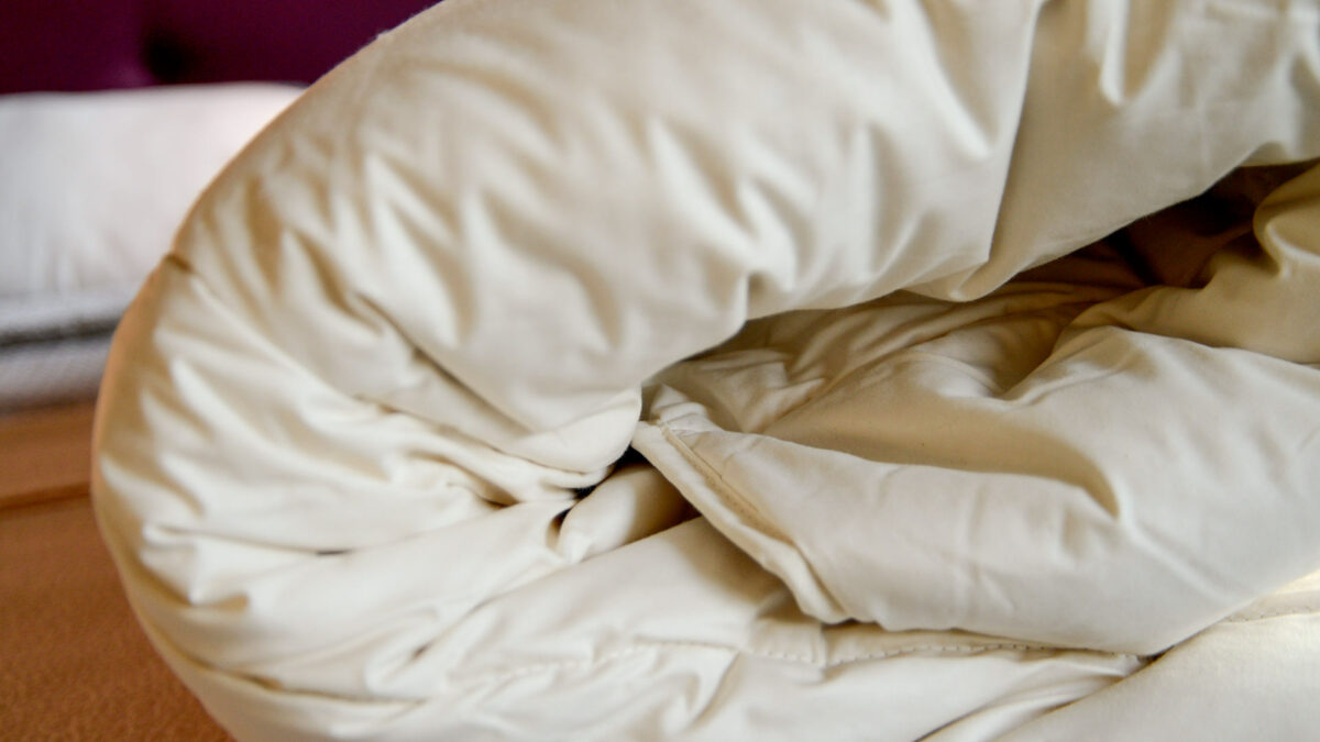wild silk duvet