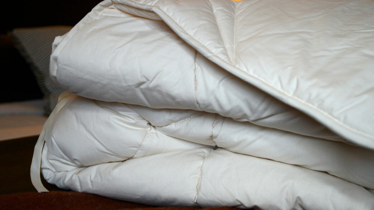 organic wool filled duvet